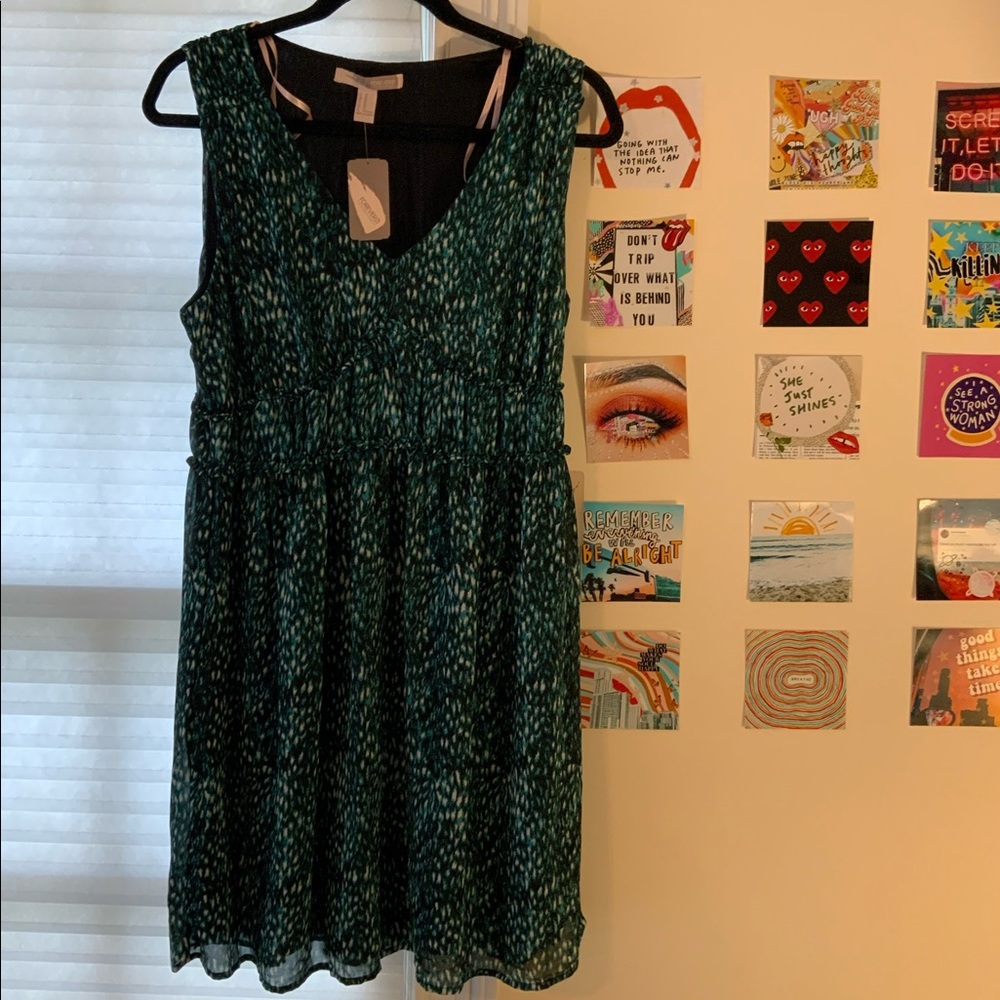 NWT Forever 21 skater dress printed sleeveless